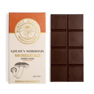 Buy Golden Shrooms Raw Chocolate Bliss Online in Australia